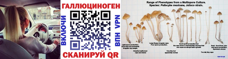 Галлюциногенные грибы ЛСД  Советская Гавань 